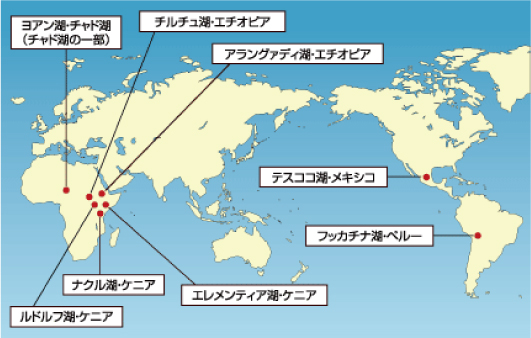 自生エリア