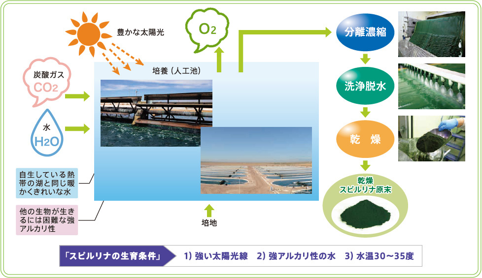 DICファーム