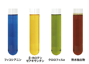 カラフル色素